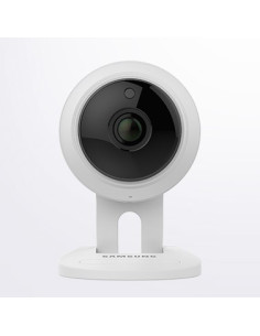 CAMARA DISUASORIA NO... 2